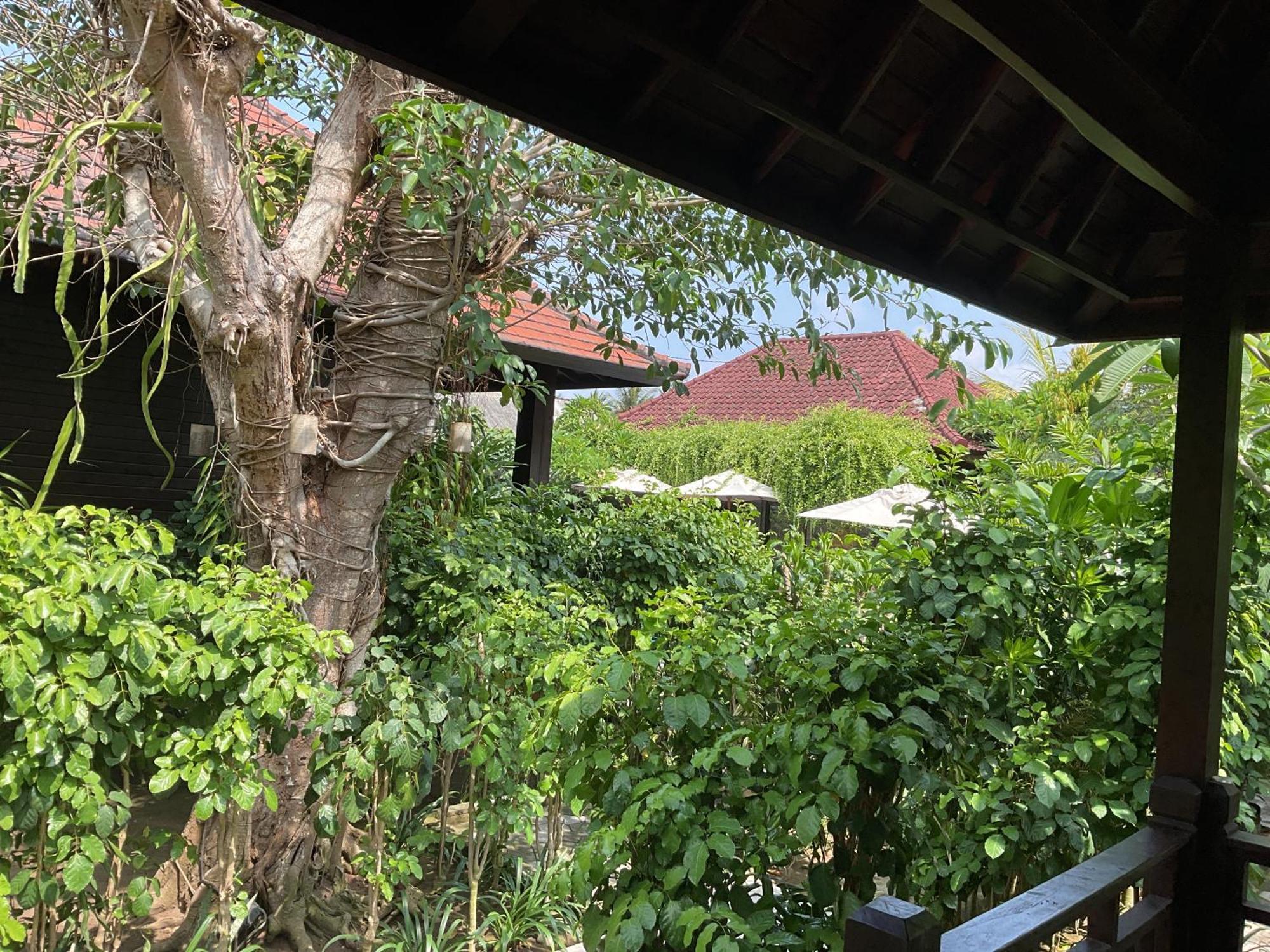 Bunutbali Villas88 Lembongan Εξωτερικό φωτογραφία